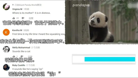 ca2aa4ddc04a38a465d839e292b68af1fb719557.jpg@280w_158h_1c_100q.jpg