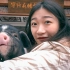 去湖南宁乡参观五星级猪圈！撸撸又可爱吃起来又香的小花猪！