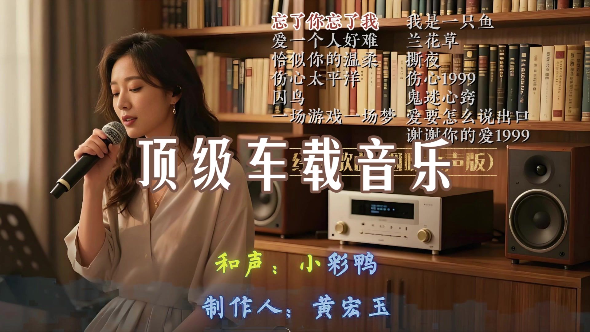 【Hi-Res】《经典歌曲（烟嗓女声版②)》🔊顶级车载音乐🎧