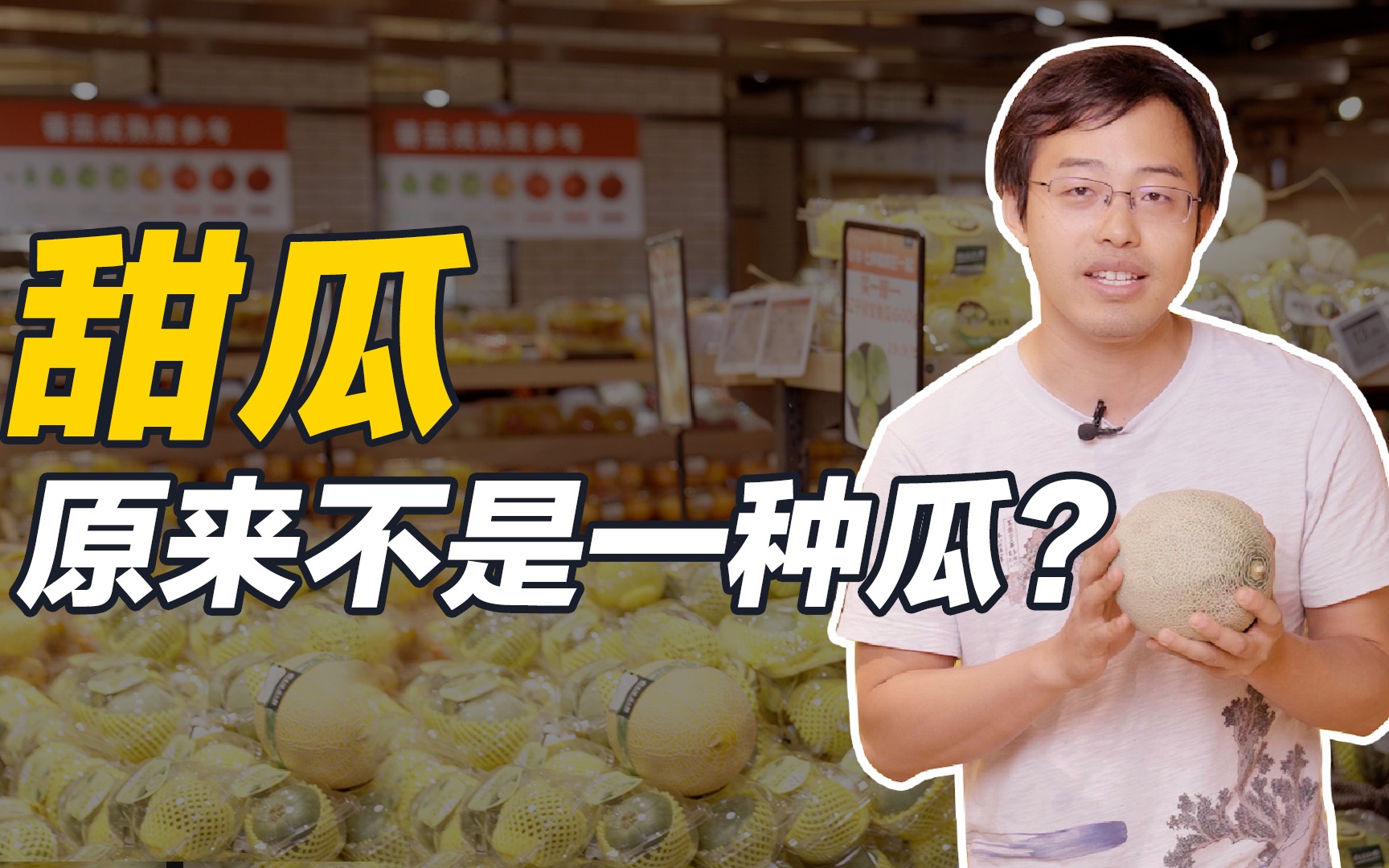 天天吃瓜吃了个寂寞，甜瓜不是一种瓜！也许你在水果摊上看到的所有瓜都是它！