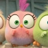 《愤怒的小鸟2》电影版（三只小小鸟历险记）精彩呆萌超级可爱搞笑片段