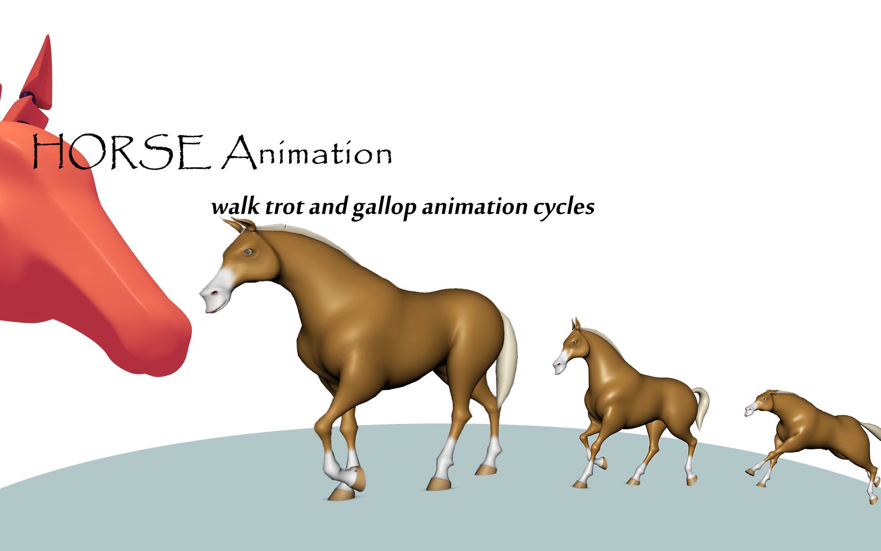 Horse animation showcase_Walk Trot and Gallop animation  cycles.马走小跑驰骋四足动物走跑循环动画-哔哩哔哩