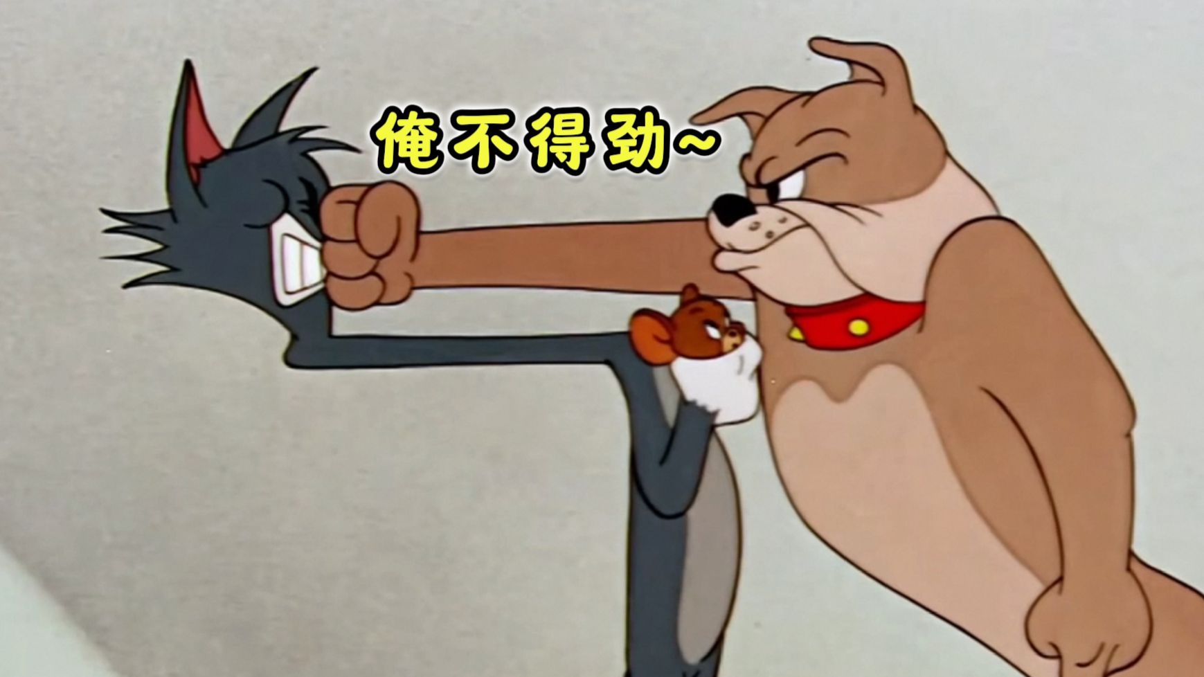 《豫 宠 之 争》1