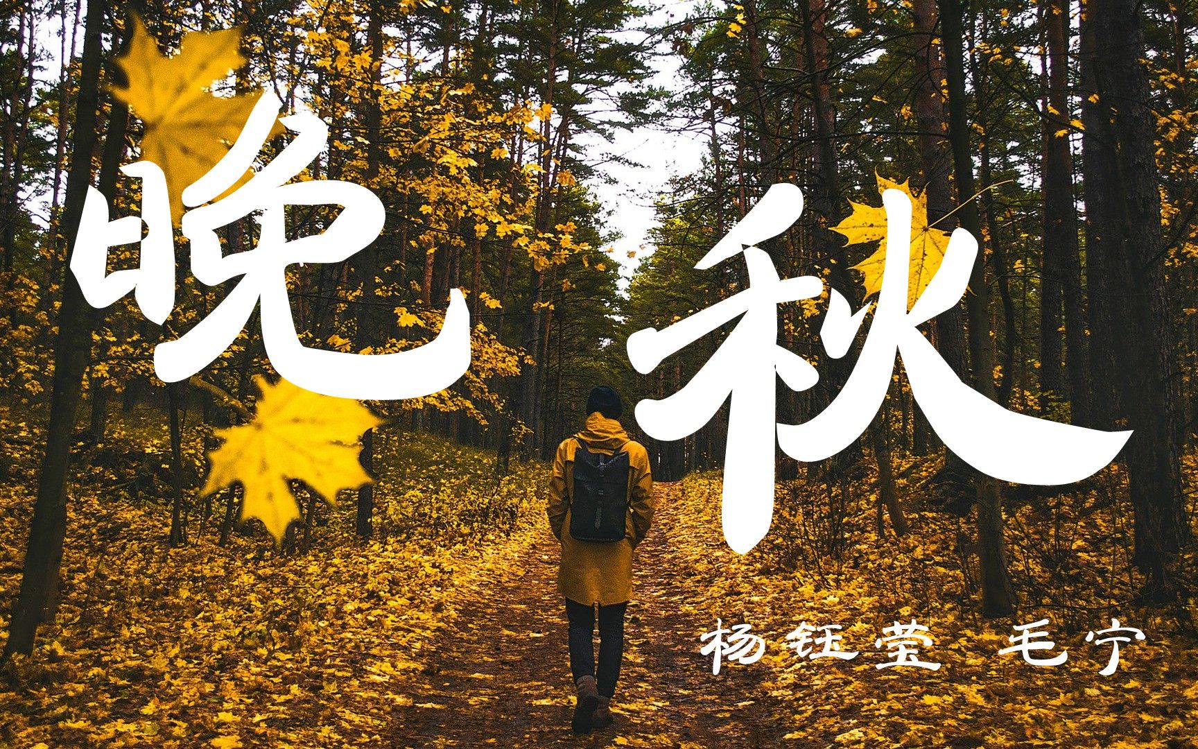 杨钰莹&毛宁 - 晚秋 -『超高无损音质』【动态歌词Lyrics】