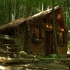 【转载国外大神】用时30天建造森林豪华木屋，是真的豪华！！！