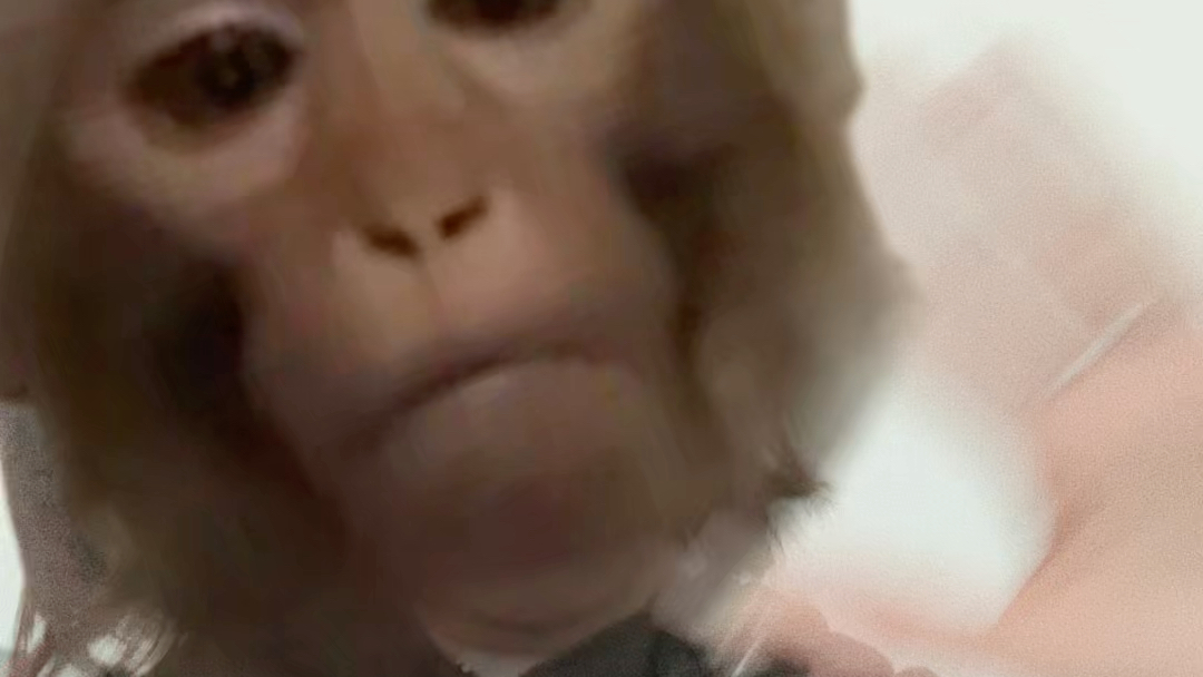 [Live Slicing] Hopeless Pitch 10