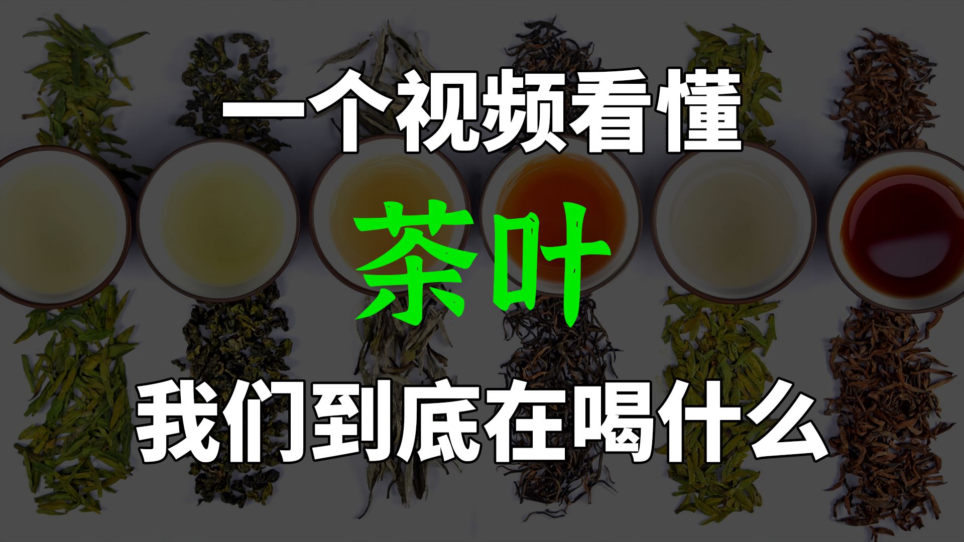 茶叶全解：不同茶有什么区别？我们到底在喝什么？为什么中国没有茶叶巨头？【材料物语】