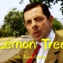 曾经红遍全球的歌曲：柠檬树《Lemon Tree》，是一首能让人忘掉烦恼的好音乐