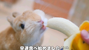 caeaa0492aaff5e278883495d3e01c04e3ba0246.jpg@310w_174h_1c_100q.jpg