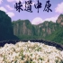 河南地方美食纪录片《味道中原》全40集 汉语中字 720P高清纪录片