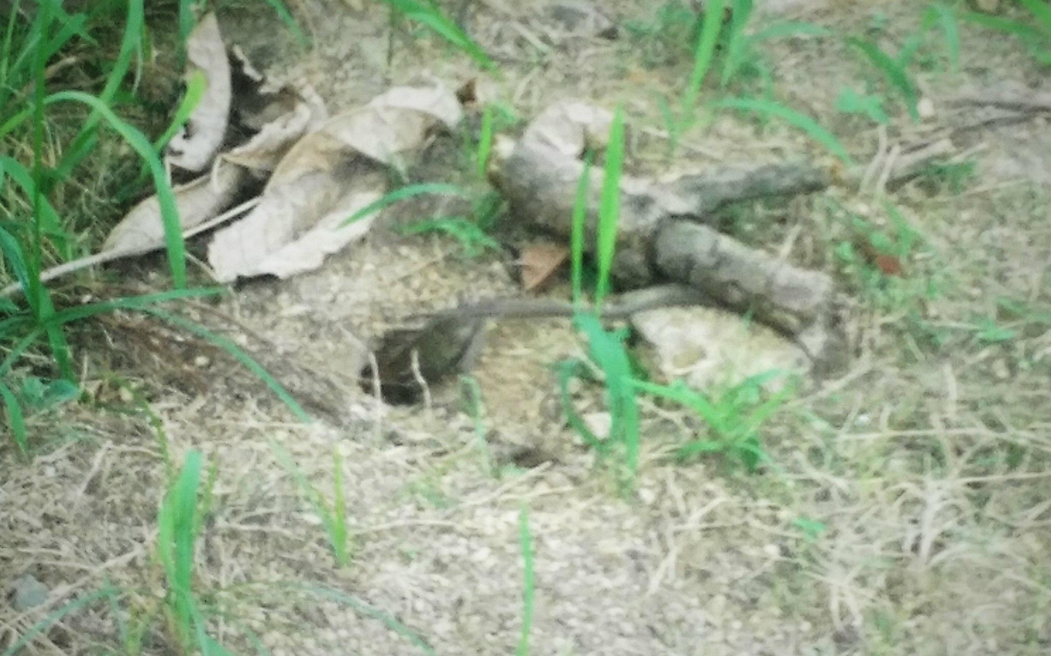 关于内急的视频合集_ 放肆吧