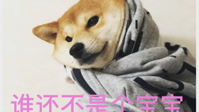 cb1dc88c2e2b6cf3040c3505240da86f93ad3122.jpg@280w_158h_1c_100q.jpg