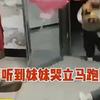 妹妹气球被抢走，坐地上大哭，哥哥霸气夺回