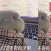 【网课翻车】网课上成这样，这妹妹不要了
