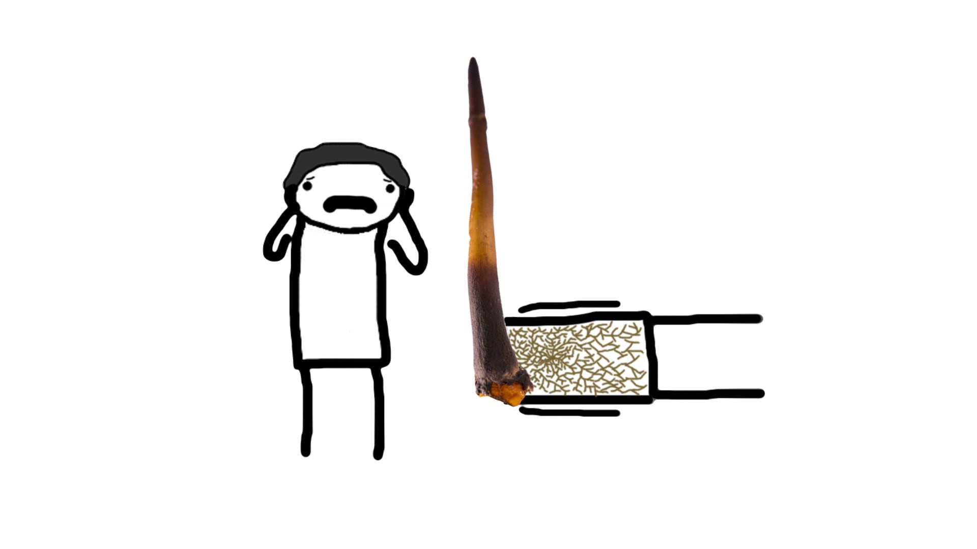 【邪门脑洞】冬人夏草 | 寄生生物