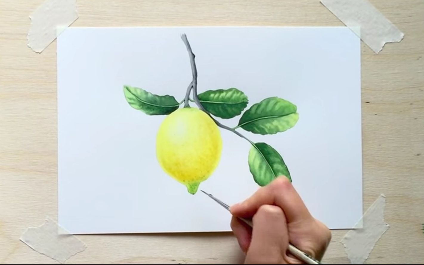 柠檬树水彩手绘矢量插画素材 Lemon Grove Watercolor Illustrations – 设计小咖