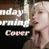 【CQ】Sunday Morning - Maroon 5 | 改编Cover