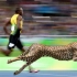 【技术分析】博尔特与猎豹相通的短跑技术