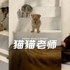 猫猫老师教小狗下楼梯