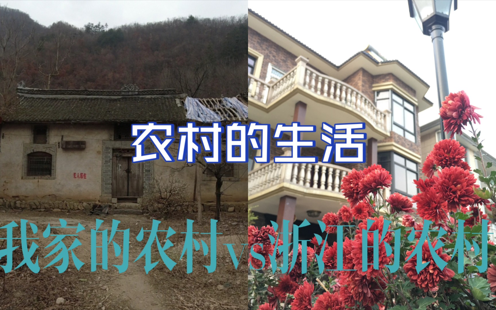 我家的农村vs浙江的农村