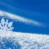 Snowdreams雪之梦-Bandari