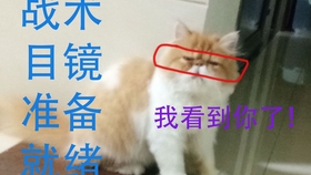 cb5cb878ba8f636cc90bf9f0f50bffabfe4615cc.jpg@280w_158h_1c_100q.jpg