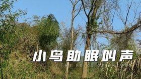 cb5ed402bc3ee53618b7ec264ac708023806543e.jpg@280w_158h_1c_100q.jpg