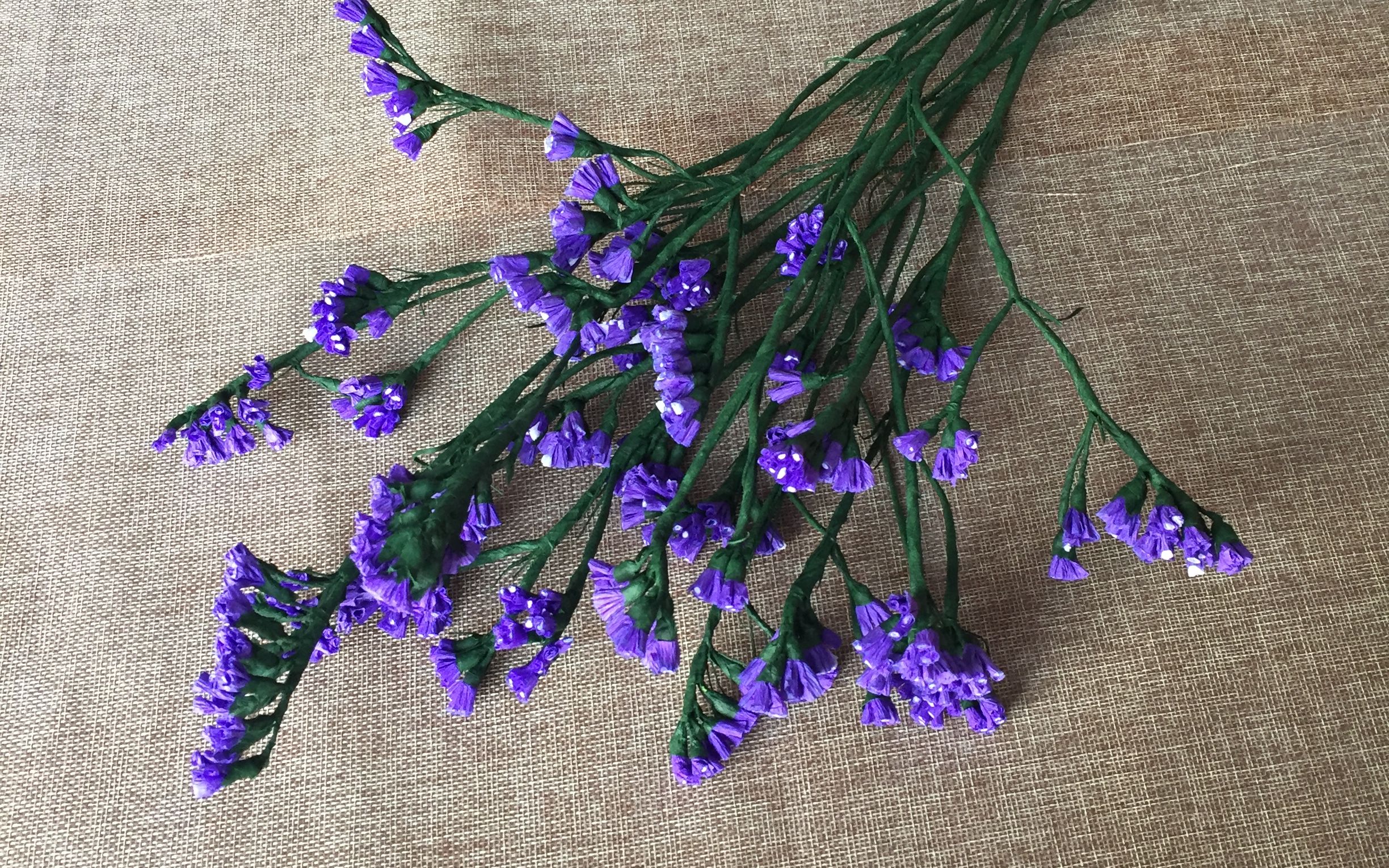 皱纹纸花勿忘我折纸视频教程子龙花卉折纸