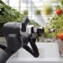 【搬运】Organifarms公司的草莓采摘机器人（trawberry Harvesting Robot BERRY）