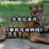 大型之《攀枝花动物园