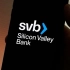 The Silicon Valley Bank collapse
