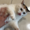 身娇体软易推倒