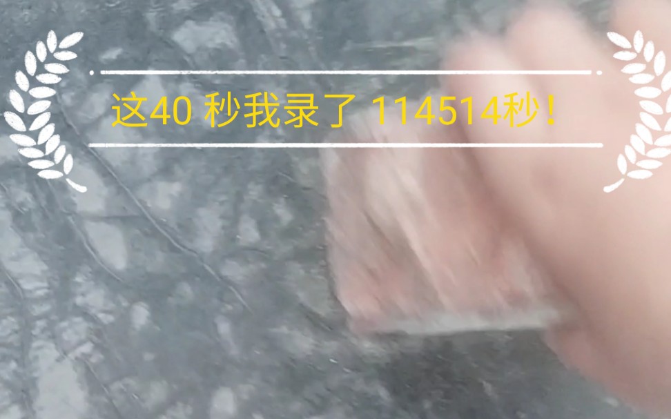 这40秒我录了114514秒