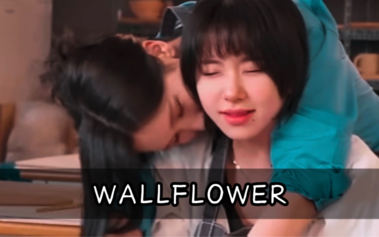 MiChaeng-Wallflower(每分秒呼吸急促)