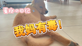 喵喵酱猫条 cc45bf4c0365c07a8b814cb548e8cc18a81e6032.jpg@280w_158h_1c_100q.jpg