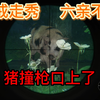 你见过酱紫的猪么？？？？——《猎人》（The hunter