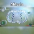 生物学里的有丝分裂3D动画 顺便复习下这个单词Mitosis