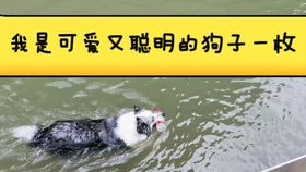 cc722436914f02592abef624c5fb685c556eac07.jpg@280w_158h_1c_100q.jpg