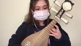 柳琴野蜂飞舞曲谱(2)