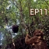 储存食物，练习射击，东南亚丛林100天生存记EP116