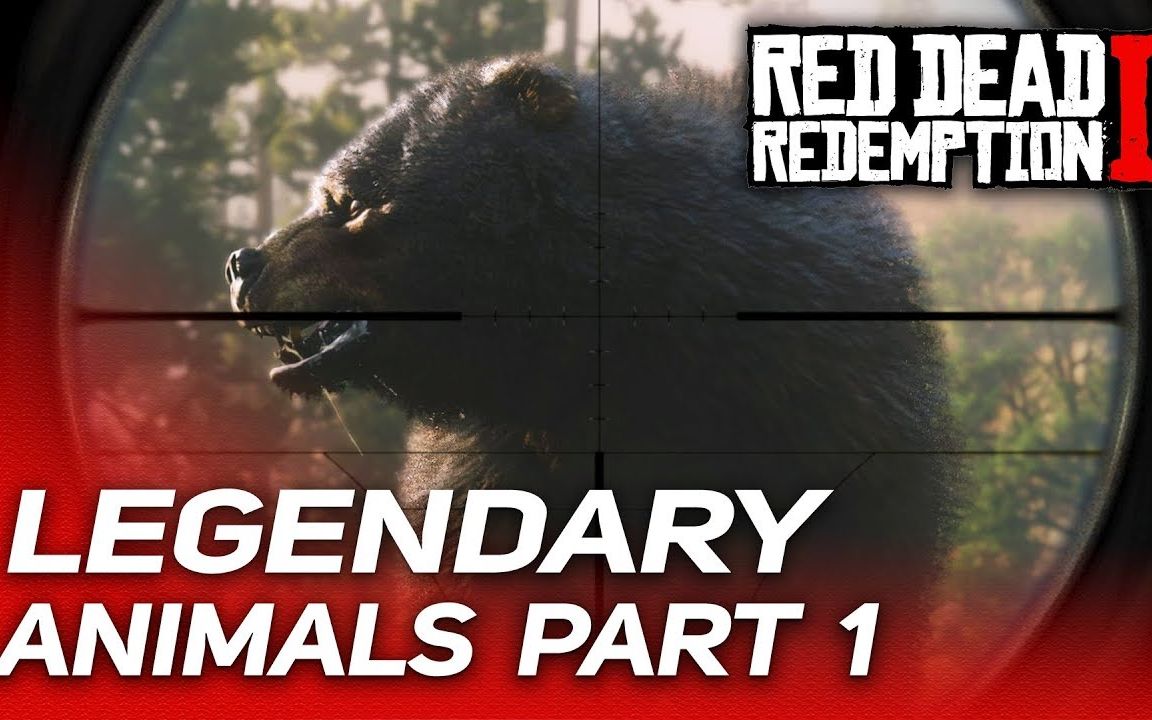 ??????2???????????(????)(???)_????_bilibili