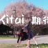 【双人初投稿】【小能X小伊】Kitai