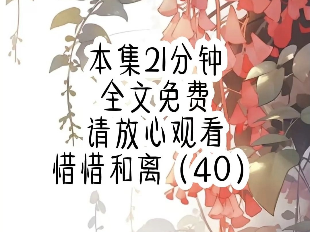 惜惜和离（40）