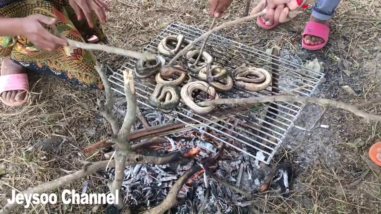 可怕美丽女孩柬埔寨烤蛇肉吃