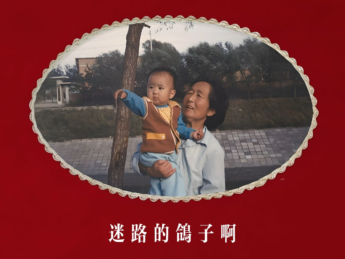 来感受一下Hi-Res 24bit/192kHz音质的《鸽子》吧