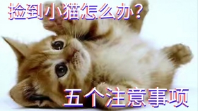 ccc9b82709c7b065c8067a1ee008d348de725ae8.jpg@280w_158h_1c_100q.jpg