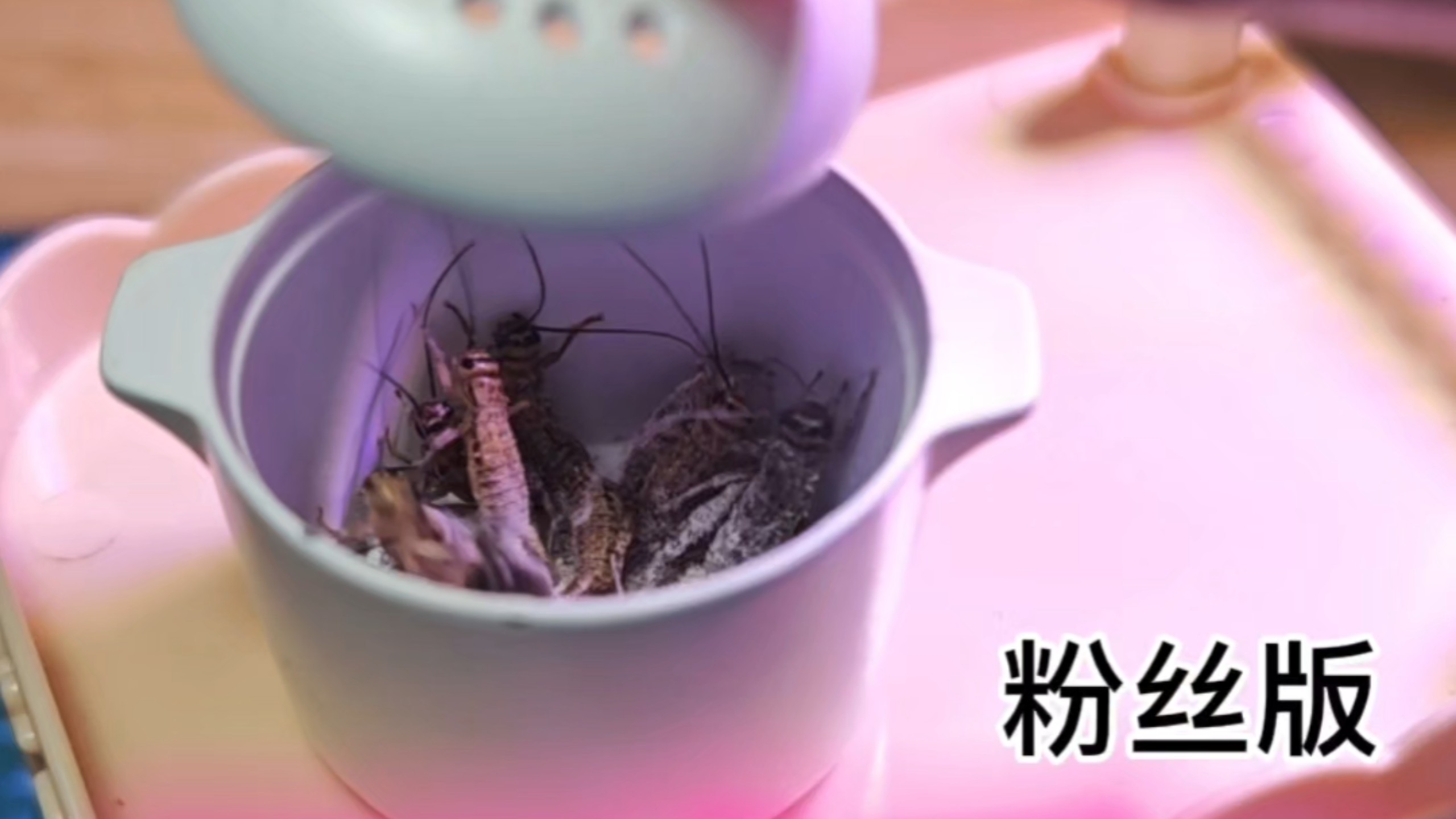 粉丝版！开吃！（咱下次留两个字名字好不好～）