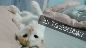 ccddba7bc0d21985ccbe6ddc8f6a28c9b347c3ec.jpg@280w_158h_1c_100q.jpg