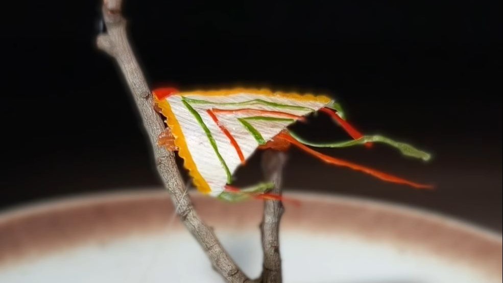 春日限定的童年美味