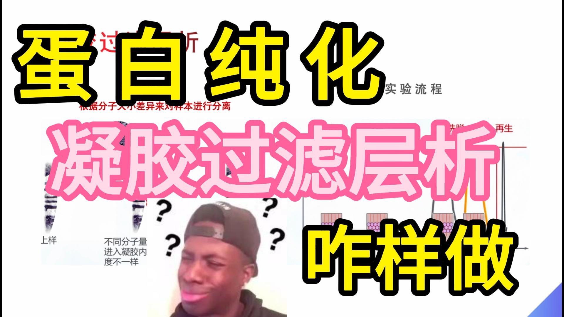 凝胶过滤层析原理&流程